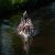 image063